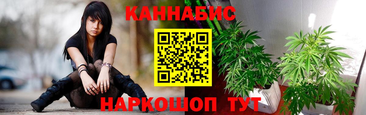 Бошки Шишки ГИДРОПОН Жигулёвск